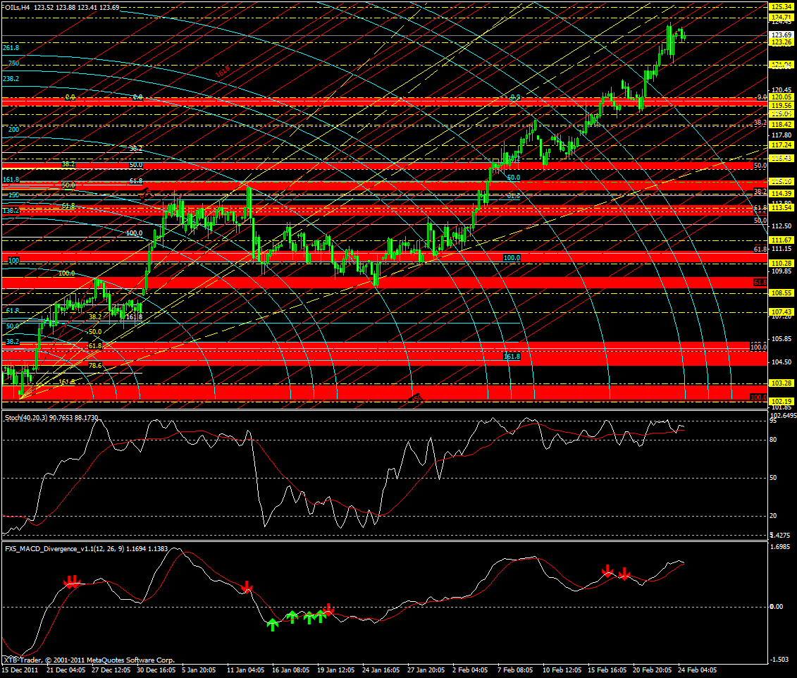 oil h4 angular 24.2.12